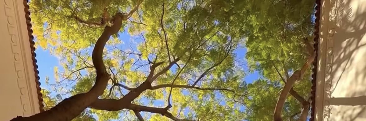 tickets Assistance_legit banner