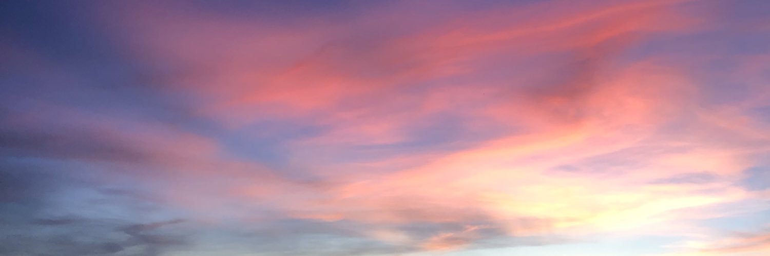Rocco banner