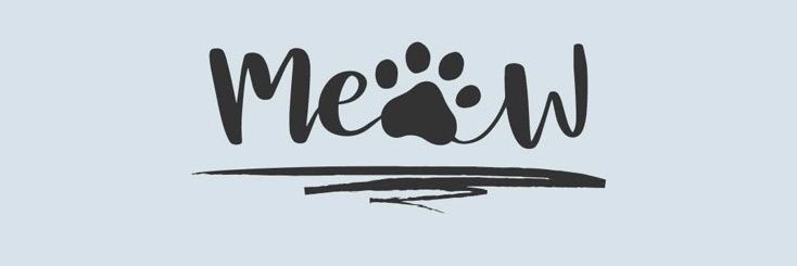 Negar_morady's profile banner image