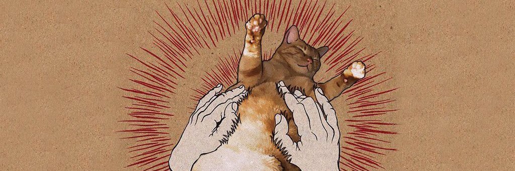 fescobed's profile banner image