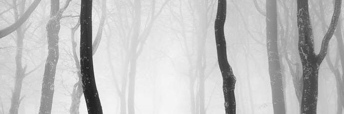 iya banner