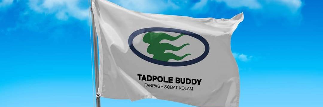 Tadpole Buddy banner