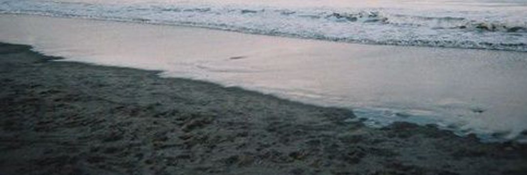 kimsunwozo's profile banner image