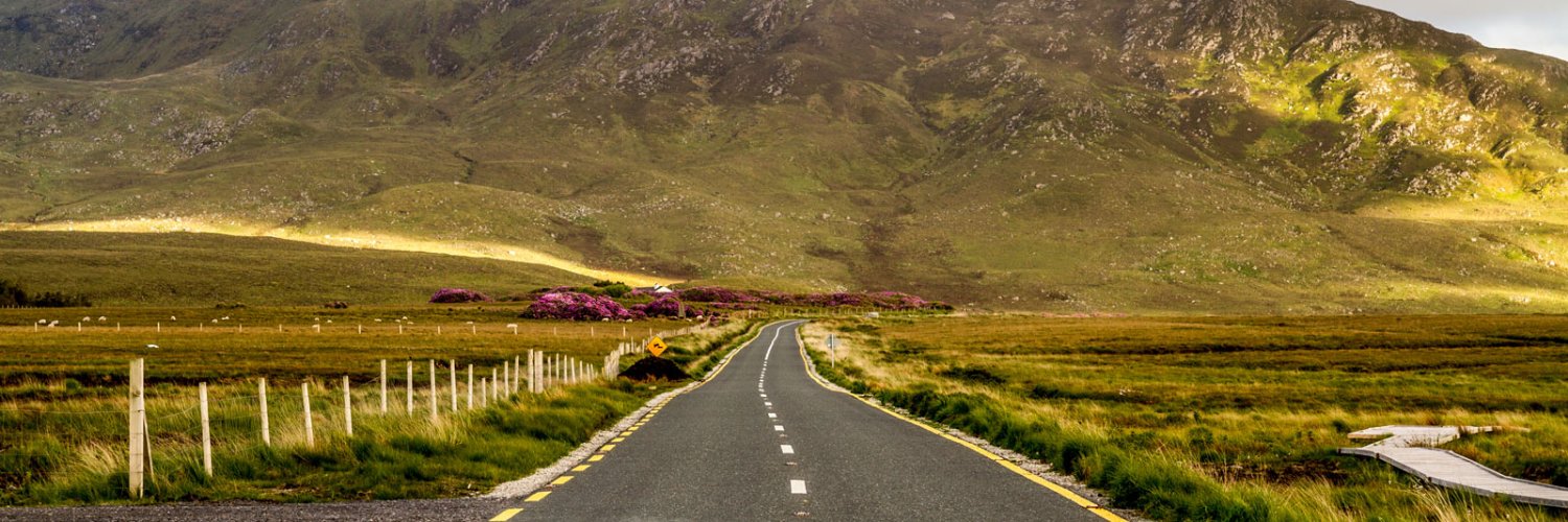 1200hodl's profile banner image