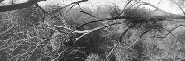 oum_photo Profile Banner