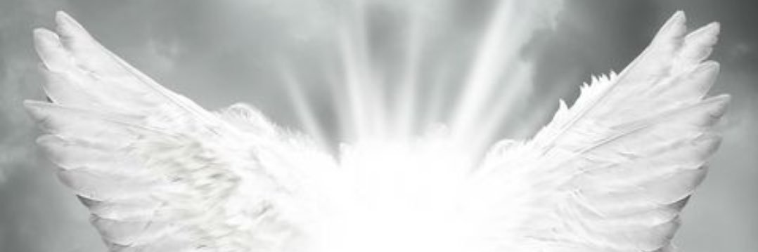 Adri_babe12's profile banner image