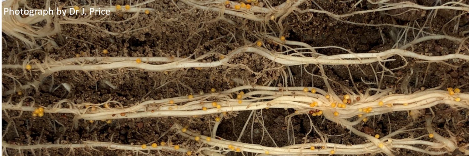 PCN Action Scotland banner