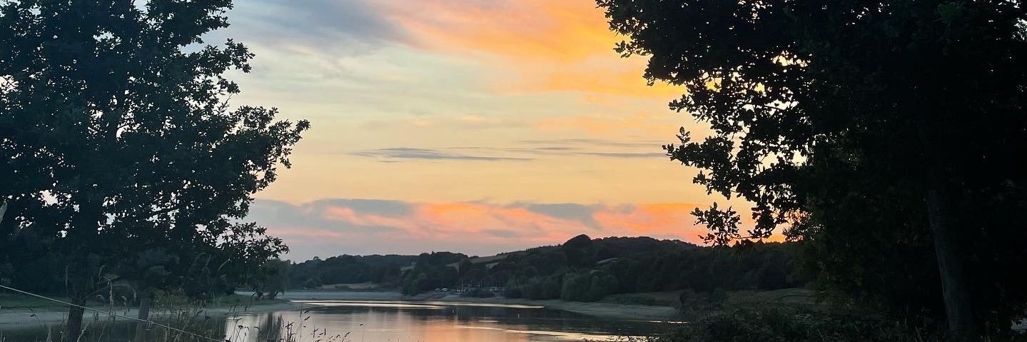 Ryu/Owen /\\\ banner