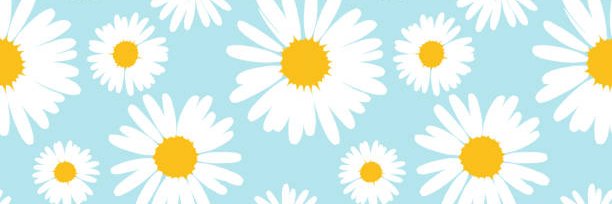 FaithBerry997's profile banner image