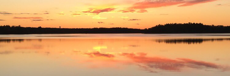 morgangrenier8's profile banner image