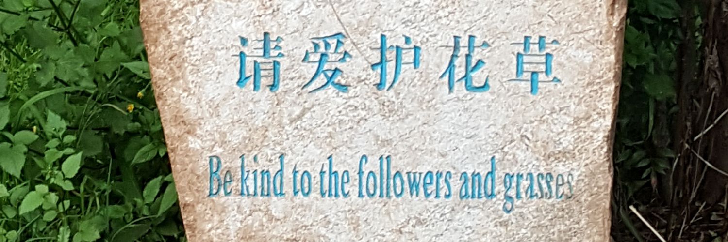 sandwitch🧙‍♀️ banner