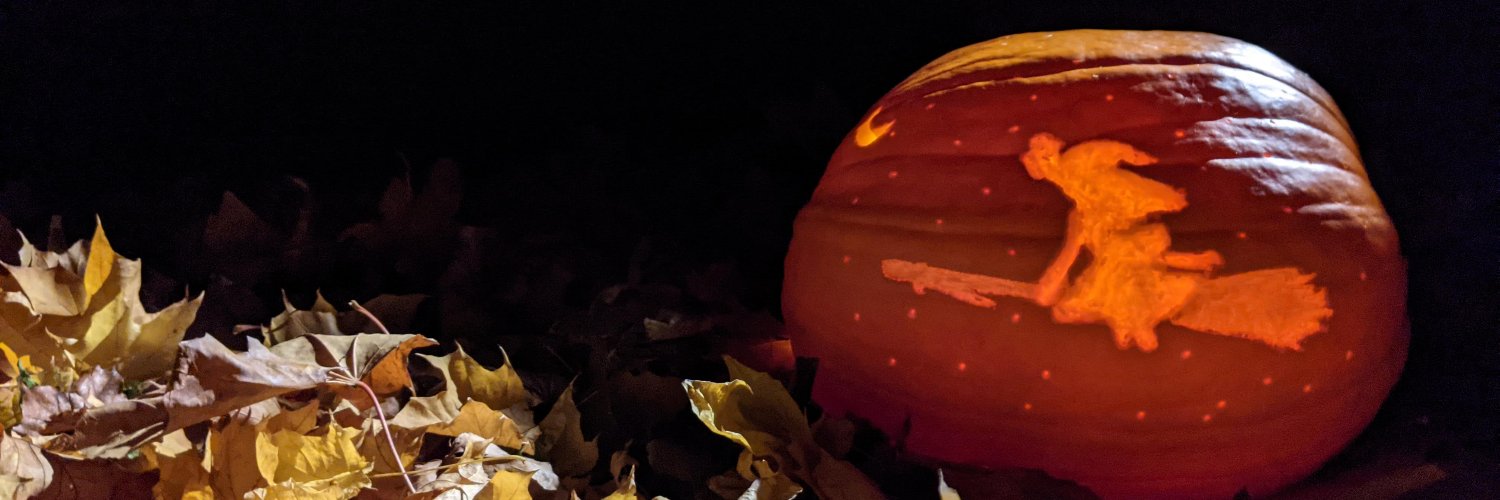 jigpu's profile banner image