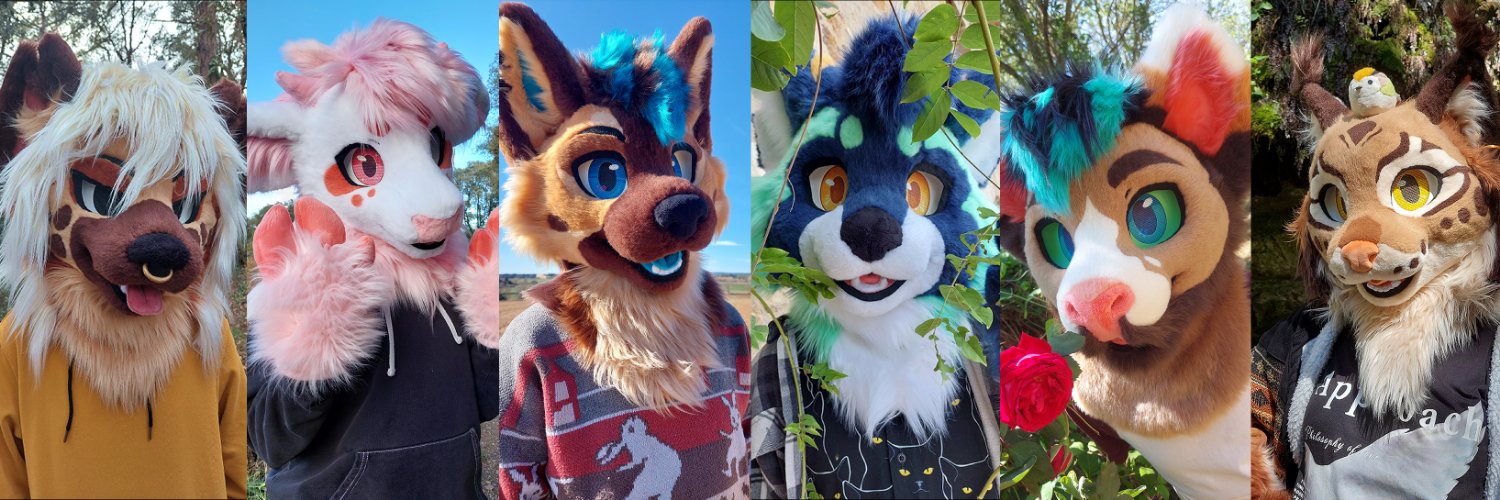 🍅TOMACATS 🐱's banner