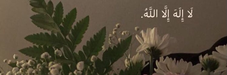 wj3xd's profile banner image