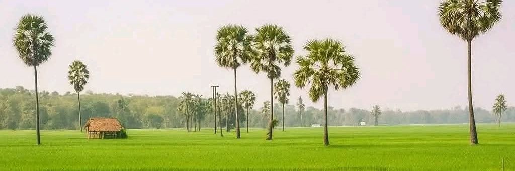 ptn_singh's profile banner image