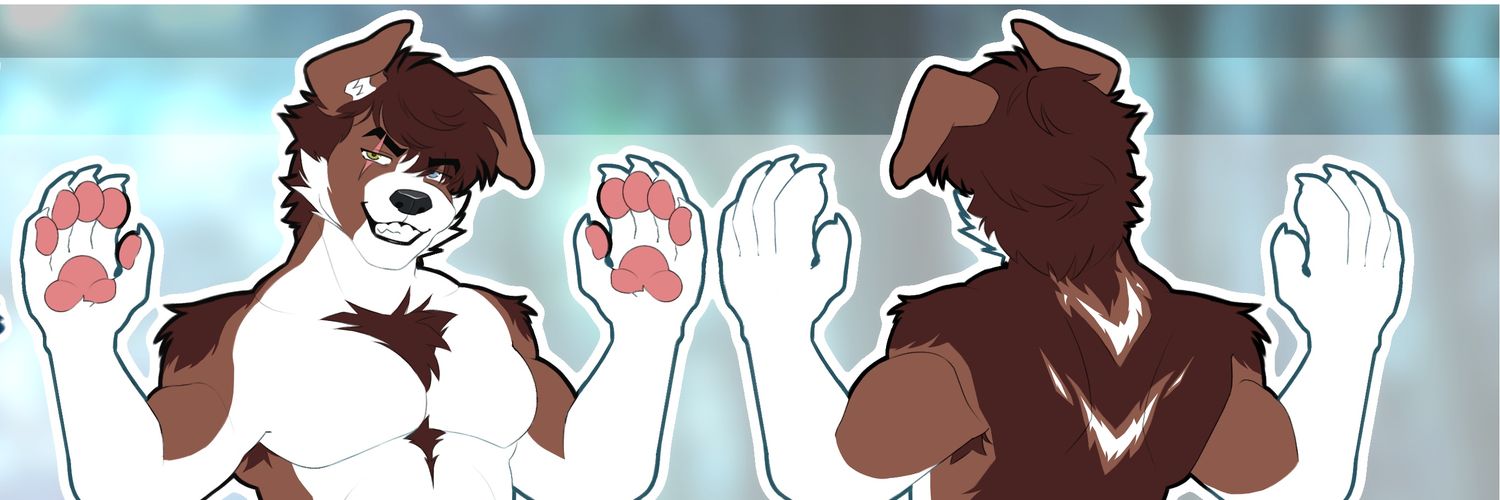 Bound-Collie banner