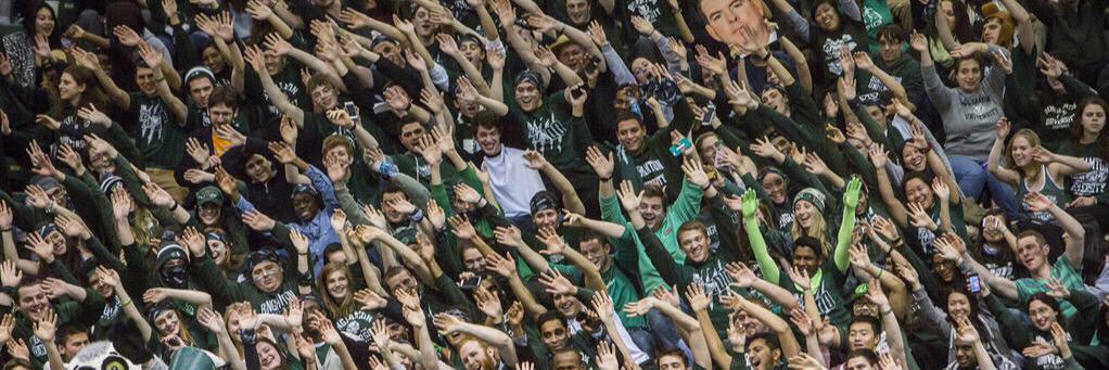 The_BU_Zoo's profile banner image
