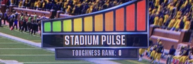 cam wilson banner