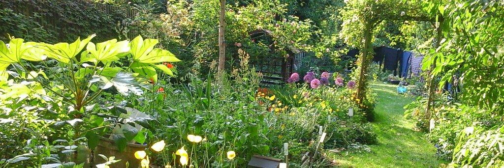 James Kenrick banner