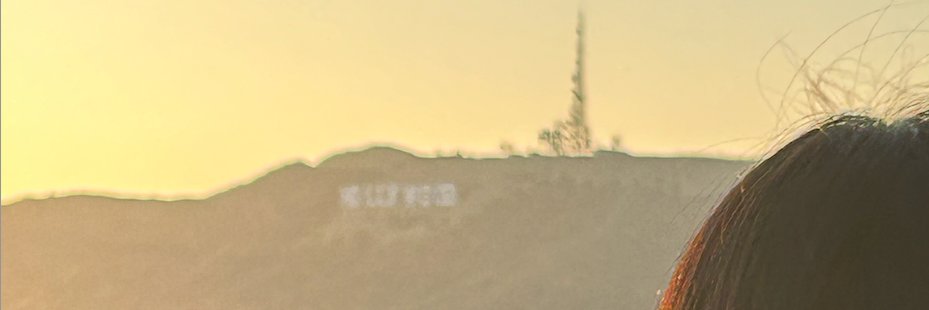 Chenyu (Monica) Wang's banner