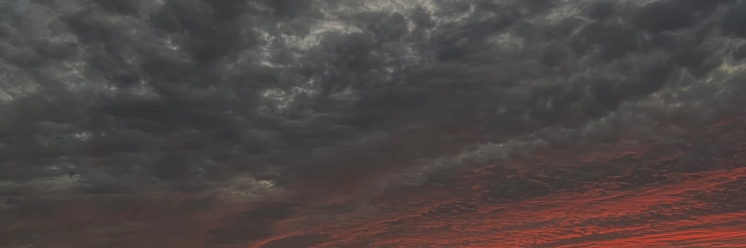 virginiatamaayo's profile banner image