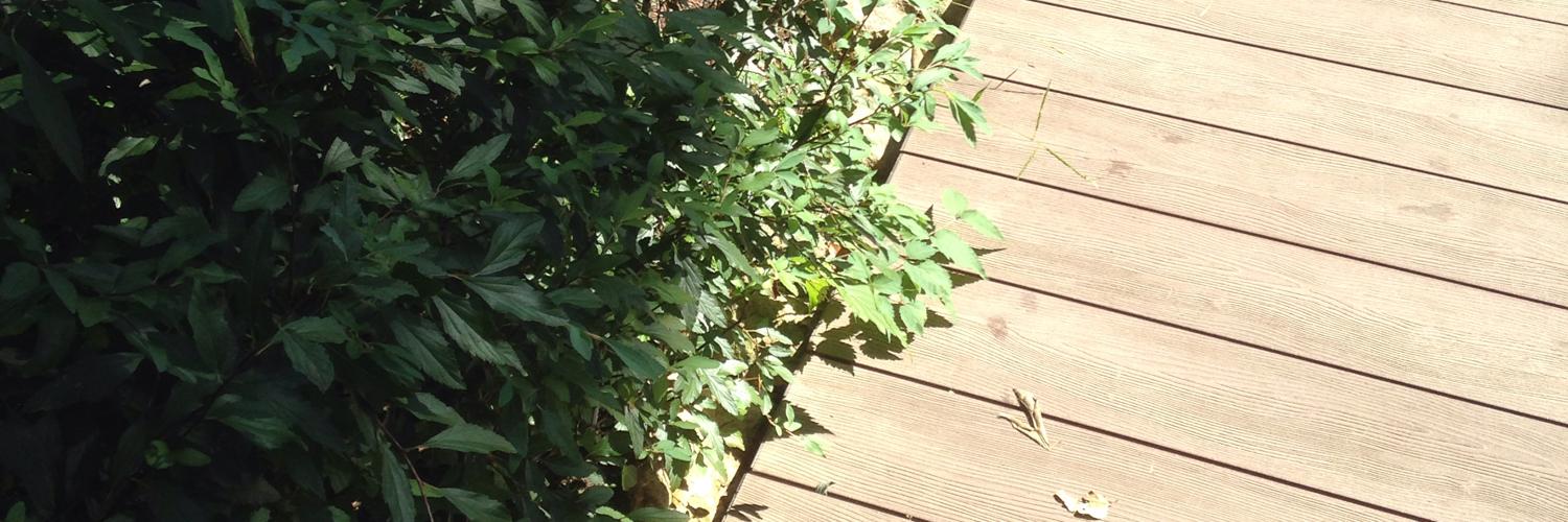 chuniso's profile banner image