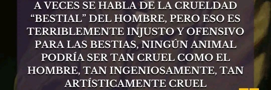 ࿚ 𝕊𝕣𝕒.𝕐𝕠𝕕𝕒 ࿙© 📖🗝️🏳️‍⚧️⃠#abolicionista banner