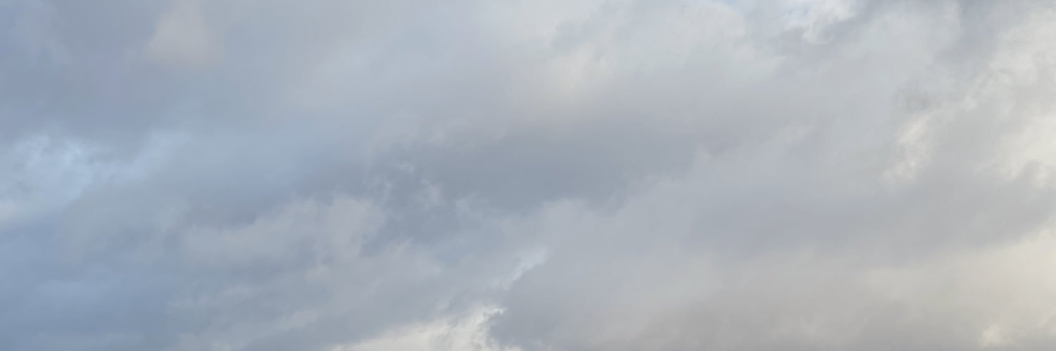 krvsteI's profile banner image