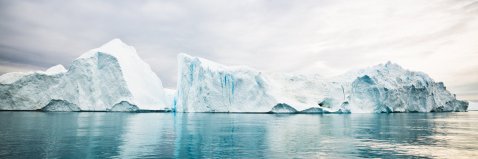 Elrik Wenigmann banner