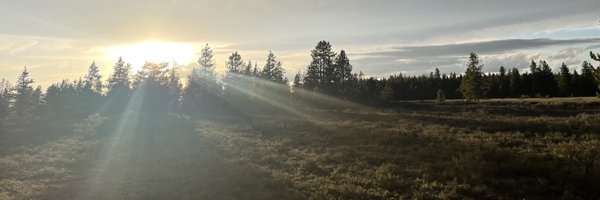 PudgyTrashPanda Profile Banner