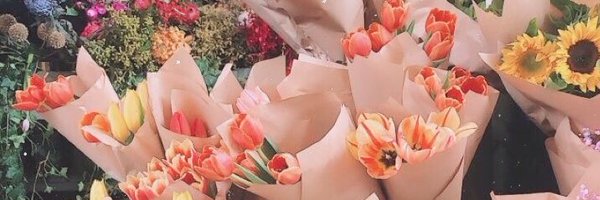 Mmaneov Profile Banner