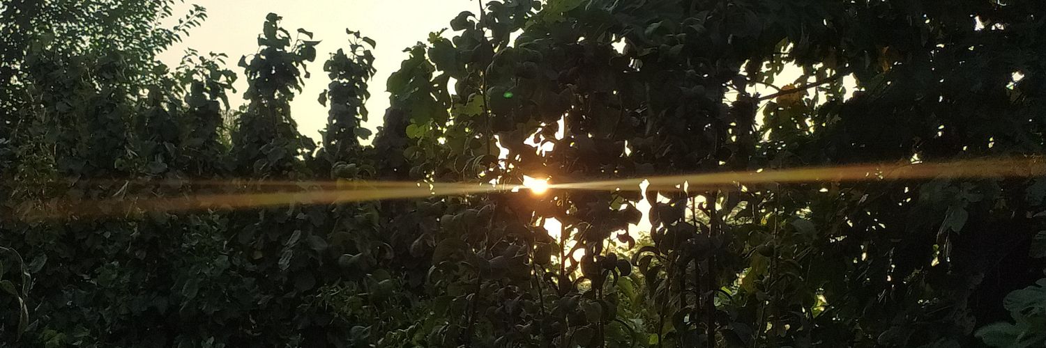 ftineei's profile banner image