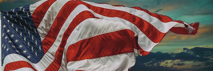 VeBee🇺🇸✝️'s banner