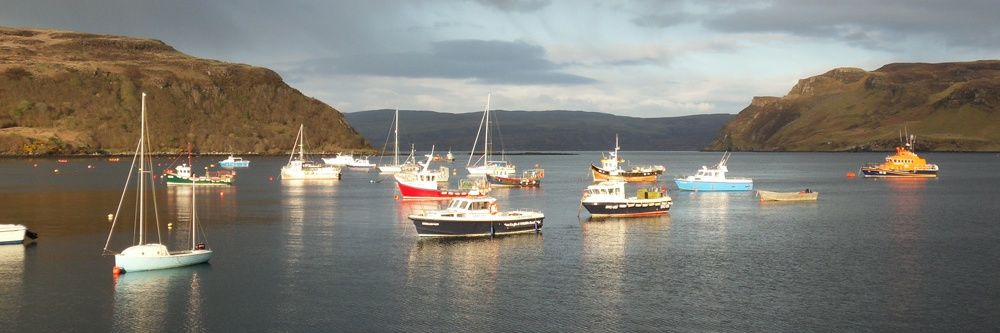 서울 사는 김 서방 banner