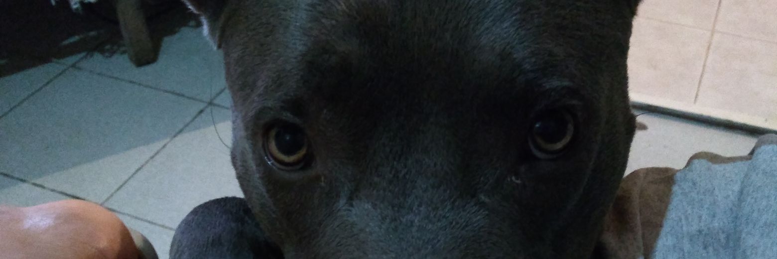 VeronCristi's profile banner image