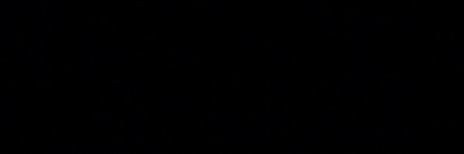 FPHALASTINE1's profile banner image