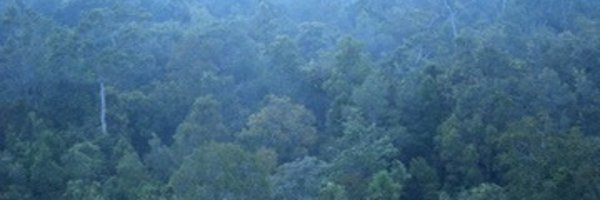 bjmjarrett Profile Banner