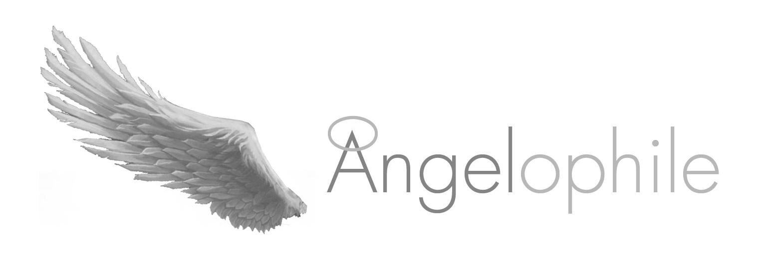 Matt Angel banner