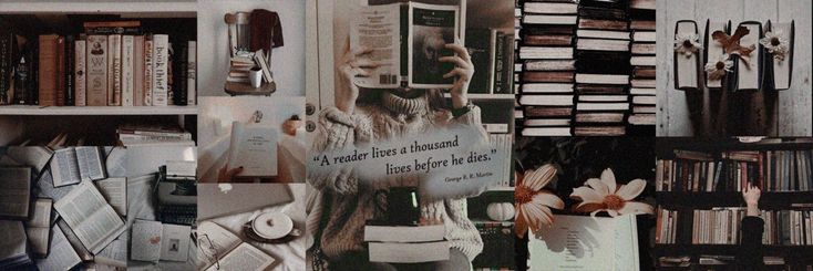 gemoreiras's profile banner image