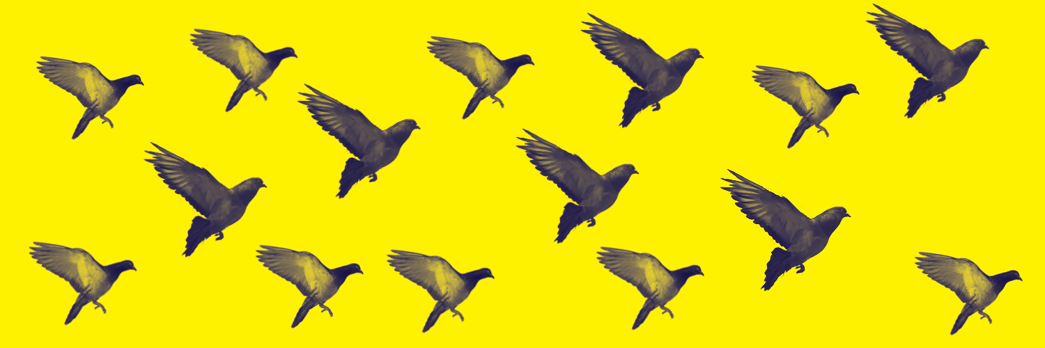 OliverFranklin's profile banner image