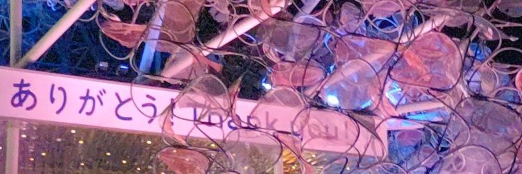sari_sarin's profile banner image