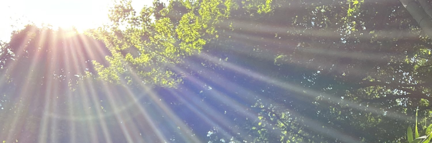 mi_yan_ff's profile banner image