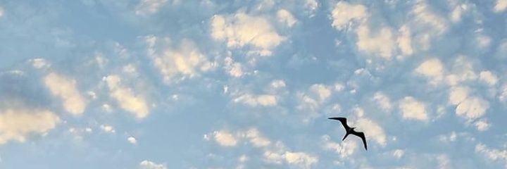 kmolero's profile banner image