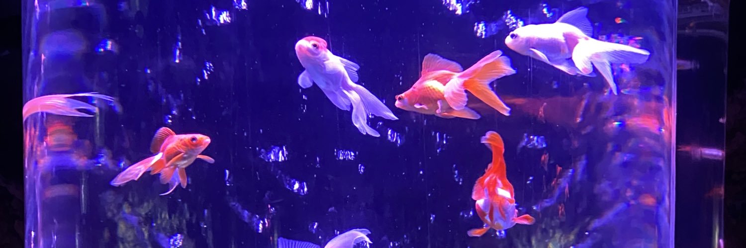 Lunatherapist's profile banner image