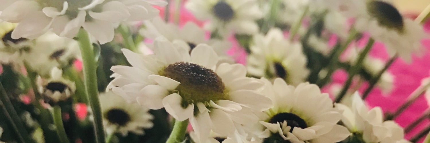 susan_adell's profile banner image