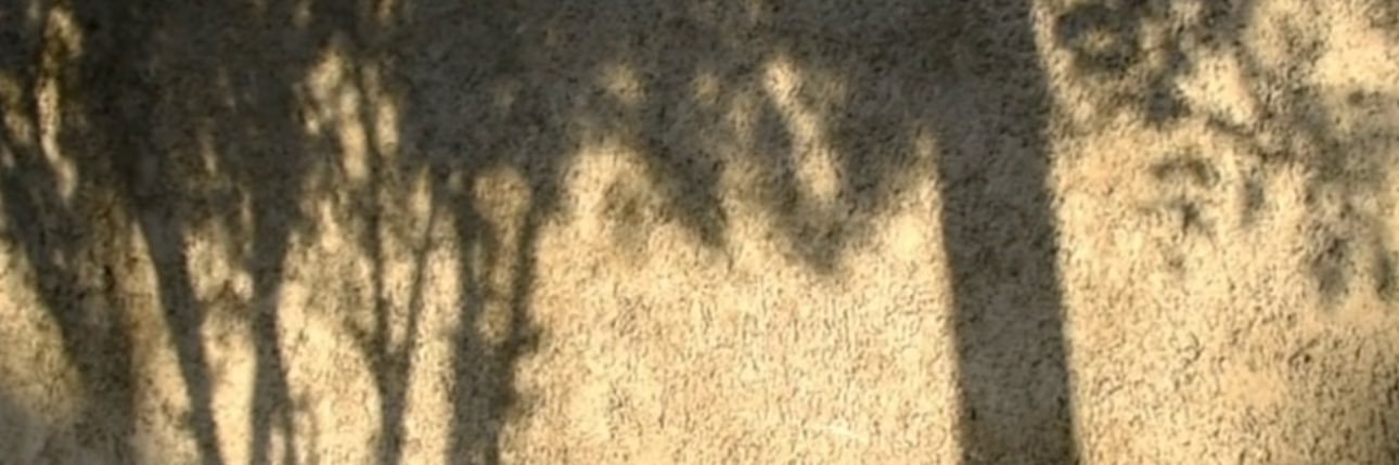 Autryinaa's profile banner image