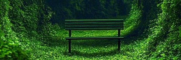 LifeAnswer_42 Profile Banner