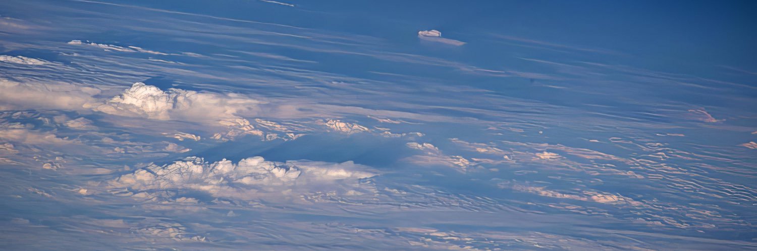 looseglimpse's profile banner image