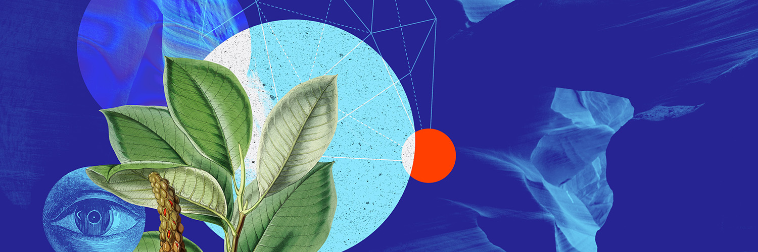 Exposure Labs banner