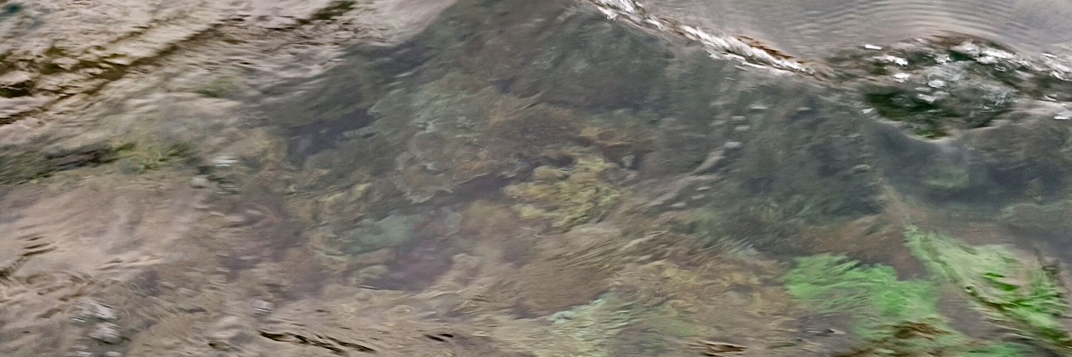 csstrust's profile banner image